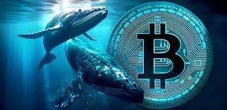 Bitcoin whale sells 24,000 BTC worth $2.7B