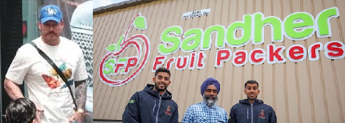 Sandher Crime Family and Ryan Wedding II